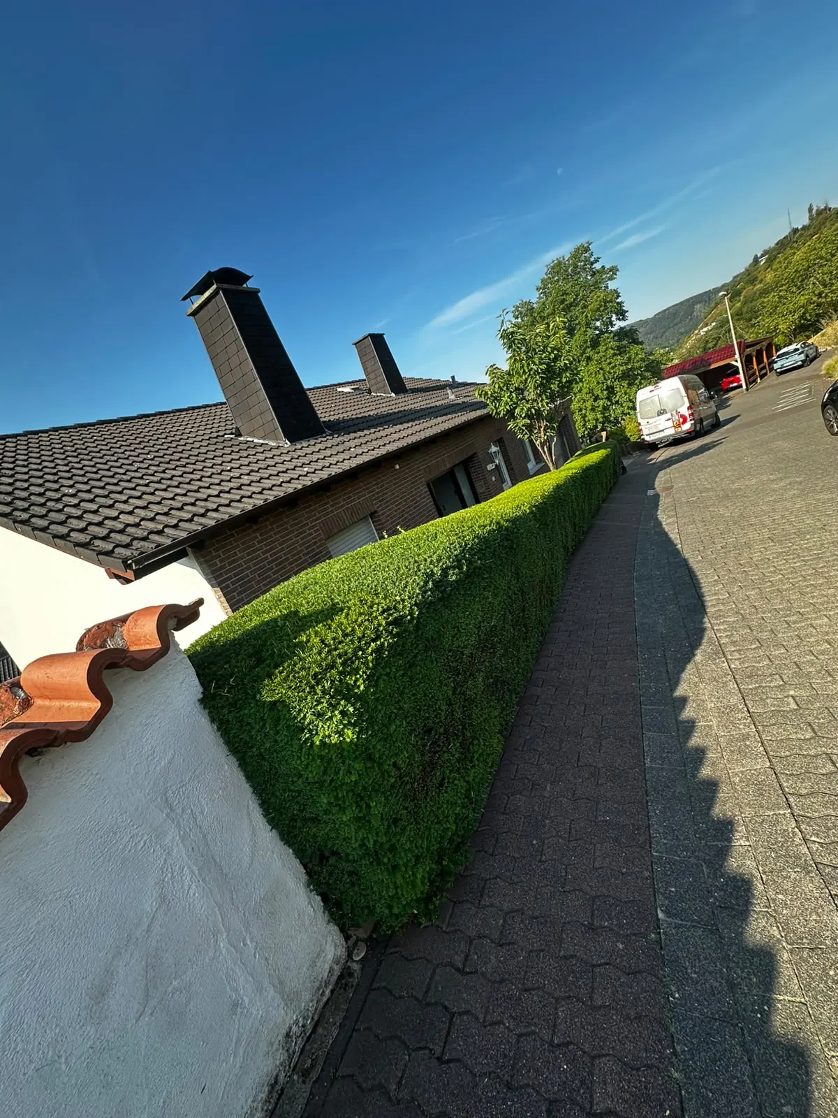 Hecke entlang der Straße