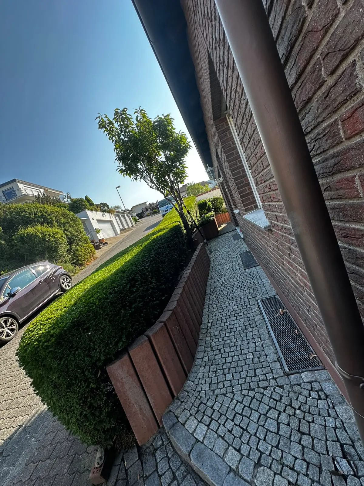 Formschnitt an der Hecke