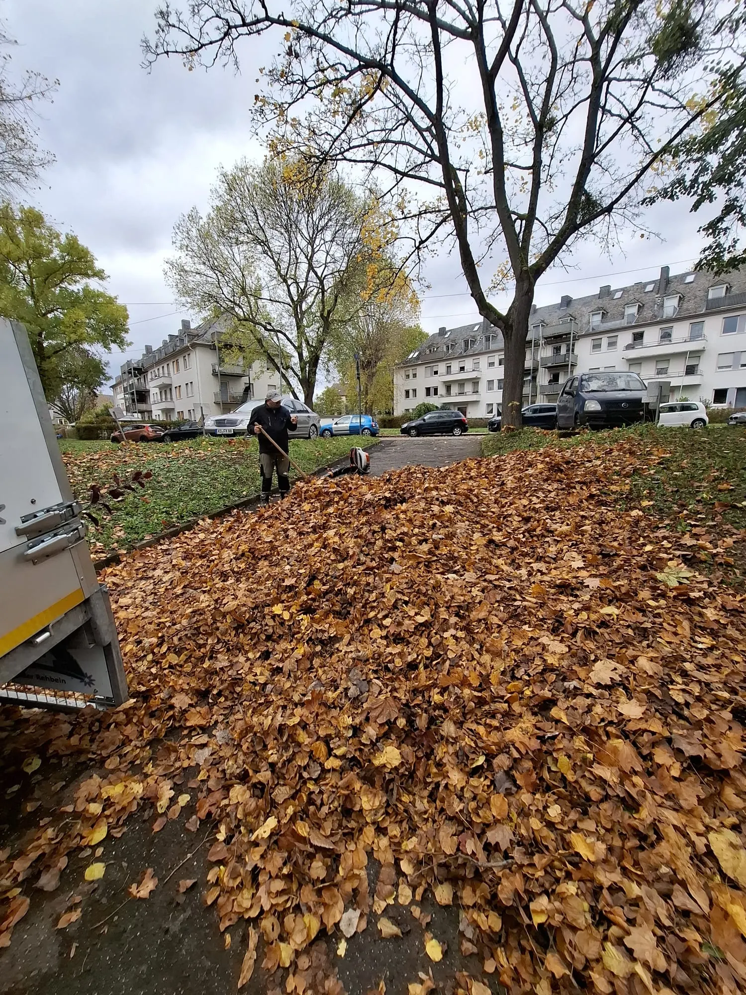 Laubbeseitigung in der Wohnanlage